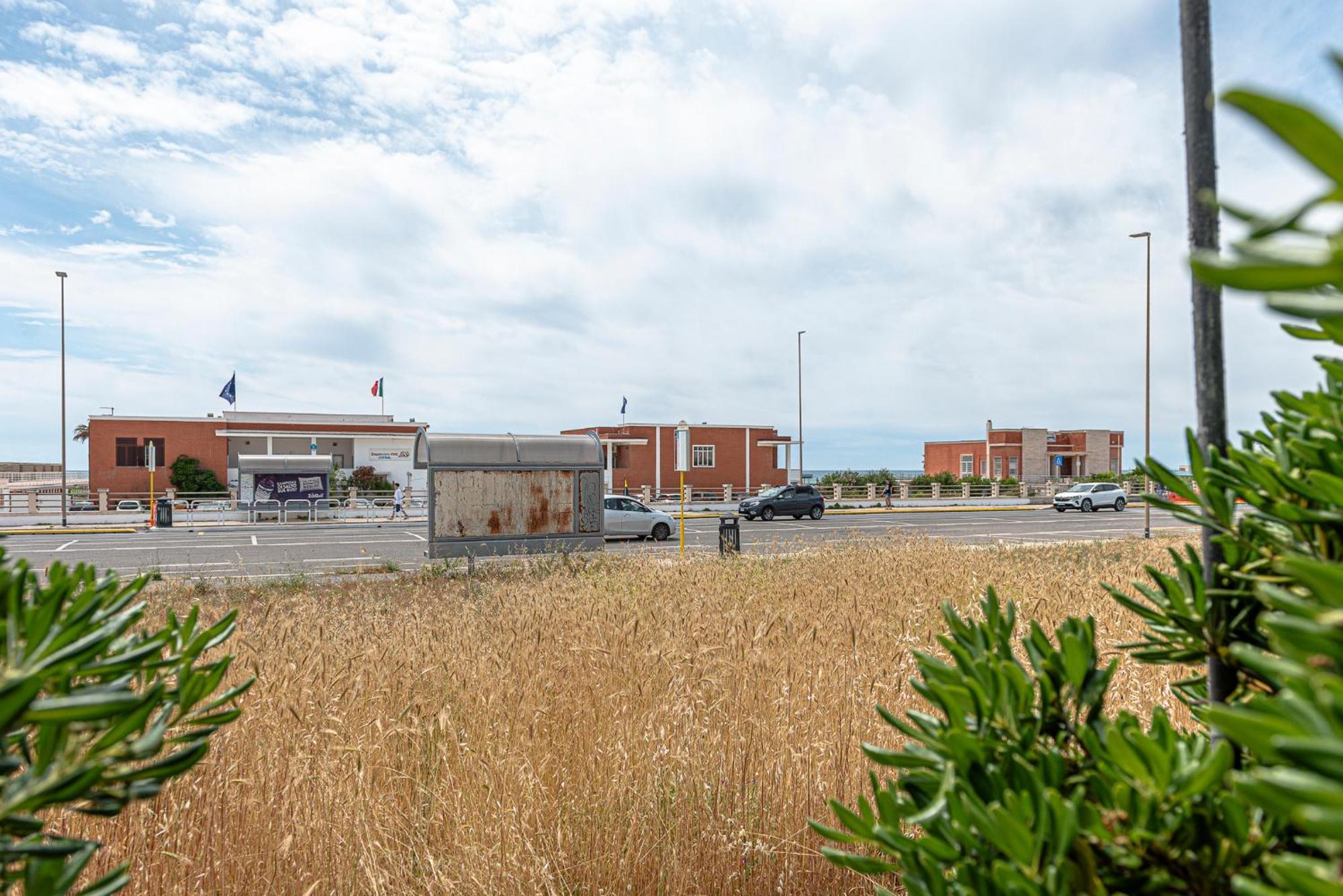 Villino Dei Coralli Ostia Buitenkant foto