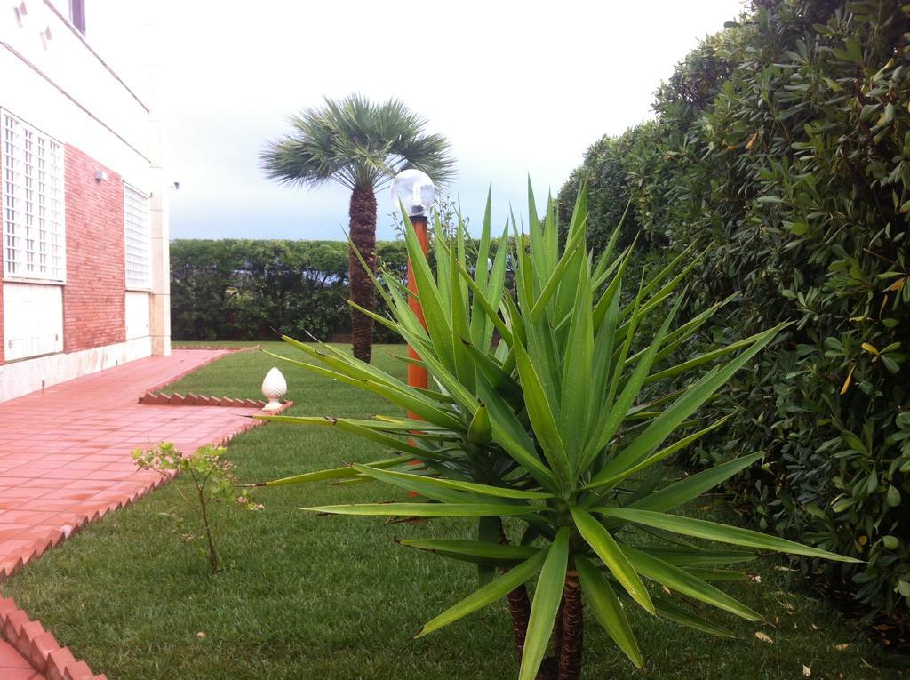 Villino Dei Coralli Ostia Kamer foto